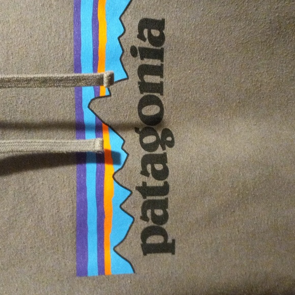 Patagonia Light Gray Hoodie with Mountain Graphic - Picture 4 of 6